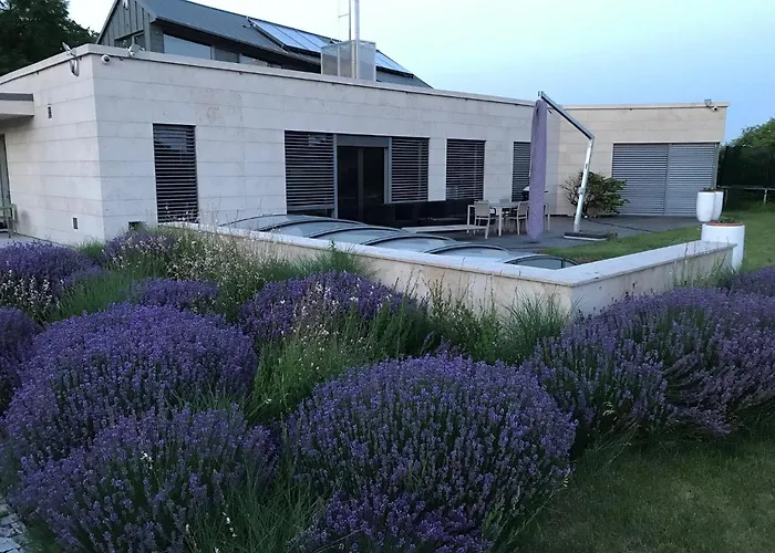 Luxury Villa Emilly - Pool, Sauna And Jacuzzi Hovorcovice photo
