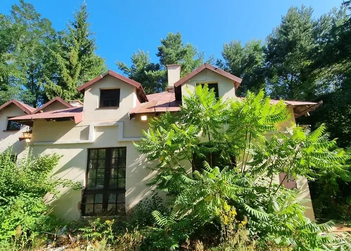 Villa U Stromu Uhonice photo