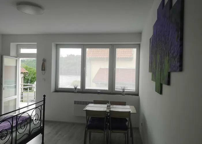 Apartman U Vody Zupanovice photo