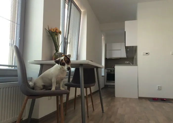 Elf Apartment Kolin photo